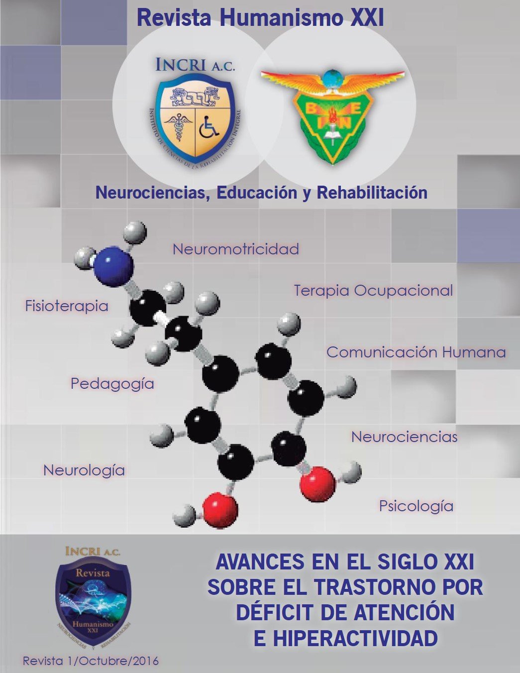 Diplomado en Neurorehabilitación y Neuromotricidad Integral